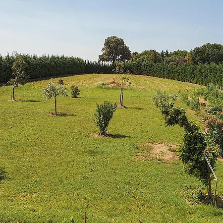 Maison Avec Piscine